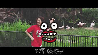 広島銀行イメージキャラクター「ひろくん」テーマソング「ひろくんのうた」ダンス